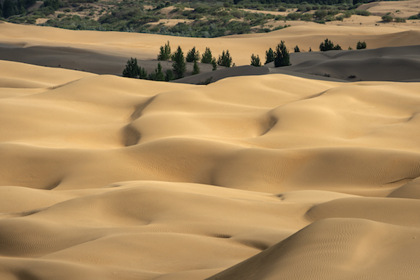 响沙湾,沙漠,度假地,景区,旅游,图片,照片,摄影,内蒙古响沙湾,内蒙古旅游,鄂尔多斯市旅游,莲花酒店,莲花度假酒店,莲沙度假岛,福沙度假岛,悦沙休闲岛,仙沙休闲岛,一粒沙度假村,在线预订,预定,旅行社,AAAAA,5A级旅游景区,库布齐,库布其沙漠,库布其旅游