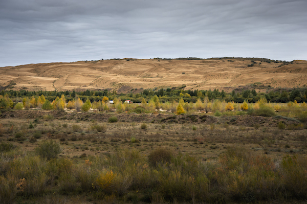 响沙湾,沙漠,度假地,景区,旅游,图片,照片,摄影,内蒙古响沙湾,内蒙古旅游,鄂尔多斯市旅游,莲花酒店,莲花度假酒店,莲沙度假岛,福沙度假岛,悦沙休闲岛,仙沙休闲岛,一粒沙度假村,在线预订,预定,旅行社,AAAAA,5A级旅游景区,库布齐,库布其沙漠,库布其旅游