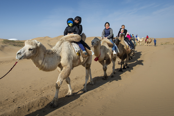 响沙湾,沙漠,度假地,景区,旅游,图片,照片,摄影,内蒙古响沙湾,内蒙古旅游,鄂尔多斯市旅游,莲花酒店,莲花度假酒店,莲沙度假岛,福沙度假岛,悦沙休闲岛,仙沙休闲岛,一粒沙度假村,在线预订,预定,旅行社,AAAAA,5A级旅游景区,库布齐,库布其沙漠,库布其旅游
