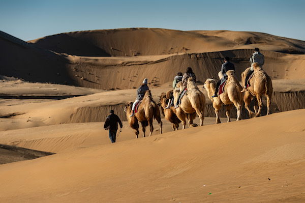 响沙湾,沙漠,度假地,景区,旅游,图片,照片,摄影,内蒙古响沙湾,内蒙古旅游,鄂尔多斯市旅游,莲花酒店,莲花度假酒店,莲沙度假岛,福沙度假岛,悦沙休闲岛,仙沙休闲岛,一粒沙度假村,在线预订,预定,旅行社,AAAAA,5A级旅游景区,库布齐,库布其沙漠,库布其旅游