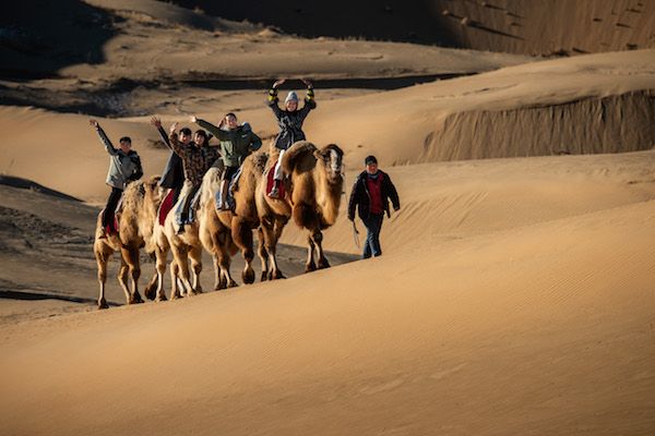 响沙湾,沙漠,度假地,景区,旅游,图片,照片,摄影,内蒙古响沙湾,内蒙古旅游,鄂尔多斯市旅游,莲花酒店,莲花度假酒店,莲沙度假岛,福沙度假岛,悦沙休闲岛,仙沙休闲岛,一粒沙度假村,在线预订,预定,旅行社,AAAAA,5A级旅游景区,库布齐,库布其沙漠,库布其旅游