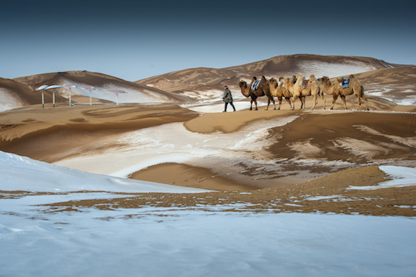 响沙湾,沙漠,度假地,景区,旅游,图片,照片,摄影,内蒙古响沙湾,内蒙古旅游,鄂尔多斯市旅游,莲花酒店,莲花度假酒店,莲沙度假岛,福沙度假岛,悦沙休闲岛,仙沙休闲岛,一粒沙度假村,在线预订,预定,旅行社,AAAAA,5A级旅游景区,库布齐,库布其沙漠,库布其旅游