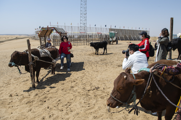 响沙湾,沙漠,度假地,景区,旅游,图片,照片,摄影,内蒙古响沙湾,内蒙古旅游,鄂尔多斯市旅游,莲花酒店,莲花度假酒店,莲沙度假岛,福沙度假岛,悦沙休闲岛,仙沙休闲岛,一粒沙度假村,在线预订,预定,旅行社,AAAAA,5A级旅游景区,库布齐,库布其沙漠,库布其旅游