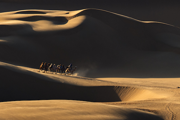 响沙湾,沙漠,度假地,景区,旅游,图片,照片,摄影,内蒙古响沙湾,内蒙古旅游,鄂尔多斯市旅游,莲花酒店,莲花度假酒店,莲沙度假岛,福沙度假岛,悦沙休闲岛,仙沙休闲岛,一粒沙度假村,在线预订,预定,旅行社,AAAAA,5A级旅游景区,库布齐,库布其沙漠,库布其旅游