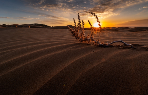 响沙湾,沙漠,度假地,景区,旅游,图片,照片,摄影,内蒙古响沙湾,内蒙古旅游,鄂尔多斯市旅游,莲花酒店,莲花度假酒店,莲沙度假岛,福沙度假岛,悦沙休闲岛,仙沙休闲岛,一粒沙度假村,在线预订,预定,旅行社,AAAAA,5A级旅游景区,库布齐,库布其沙漠,库布其旅游