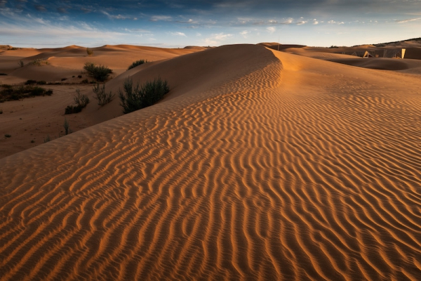 响沙湾,沙漠,度假地,景区,旅游,图片,照片,摄影,内蒙古响沙湾,内蒙古旅游,鄂尔多斯市旅游,莲花酒店,莲花度假酒店,莲沙度假岛,福沙度假岛,悦沙休闲岛,仙沙休闲岛,一粒沙度假村,在线预订,预定,旅行社,AAAAA,5A级旅游景区,库布齐,库布其沙漠,库布其旅游
