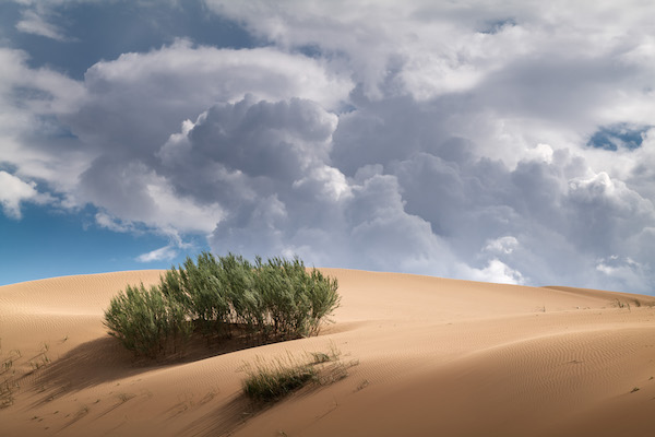 响沙湾,沙漠,度假地,景区,旅游,图片,照片,摄影,内蒙古响沙湾,内蒙古旅游,鄂尔多斯市旅游,莲花酒店,莲花度假酒店,莲沙度假岛,福沙度假岛,悦沙休闲岛,仙沙休闲岛,一粒沙度假村,在线预订,预定,旅行社,AAAAA,5A级旅游景区,库布齐,库布其沙漠,库布其旅游