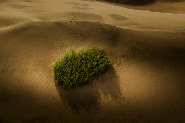 响沙湾,沙漠,度假地,景区,旅游,图片,照片,摄影,内蒙古响沙湾,内蒙古旅游,鄂尔多斯市旅游,莲花酒店,莲花度假酒店,莲沙度假岛,福沙度假岛,悦沙休闲岛,仙沙休闲岛,一粒沙度假村,在线预订,预定,旅行社,AAAAA,5A级旅游景区,库布齐,库布其沙漠,库布其旅游