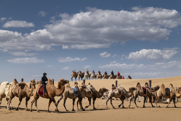 响沙湾,沙漠,度假地,景区,旅游,图片,照片,摄影,内蒙古响沙湾,内蒙古旅游,鄂尔多斯市旅游,莲花酒店,莲花度假酒店,莲沙度假岛,福沙度假岛,悦沙休闲岛,仙沙休闲岛,一粒沙度假村,在线预订,预定,旅行社,AAAAA,5A级旅游景区,库布齐,库布其沙漠,库布其旅游
