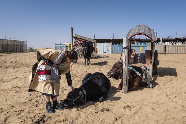 响沙湾,沙漠,度假地,景区,旅游,图片,照片,摄影,内蒙古响沙湾,内蒙古旅游,鄂尔多斯市旅游,莲花酒店,莲花度假酒店,莲沙度假岛,福沙度假岛,悦沙休闲岛,仙沙休闲岛,一粒沙度假村,在线预订,预定,旅行社,AAAAA,5A级旅游景区,库布齐,库布其沙漠,库布其旅游