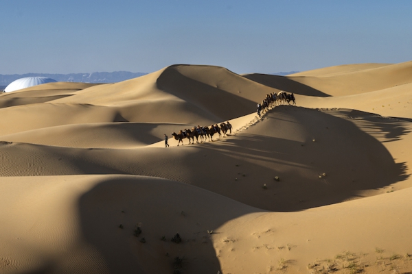 响沙湾,沙漠,度假地,景区,旅游,图片,照片,摄影,内蒙古响沙湾,内蒙古旅游,鄂尔多斯市旅游,莲花酒店,莲花度假酒店,莲沙度假岛,福沙度假岛,悦沙休闲岛,仙沙休闲岛,一粒沙度假村,在线预订,预定,旅行社,AAAAA,5A级旅游景区,库布齐,库布其沙漠,库布其旅游