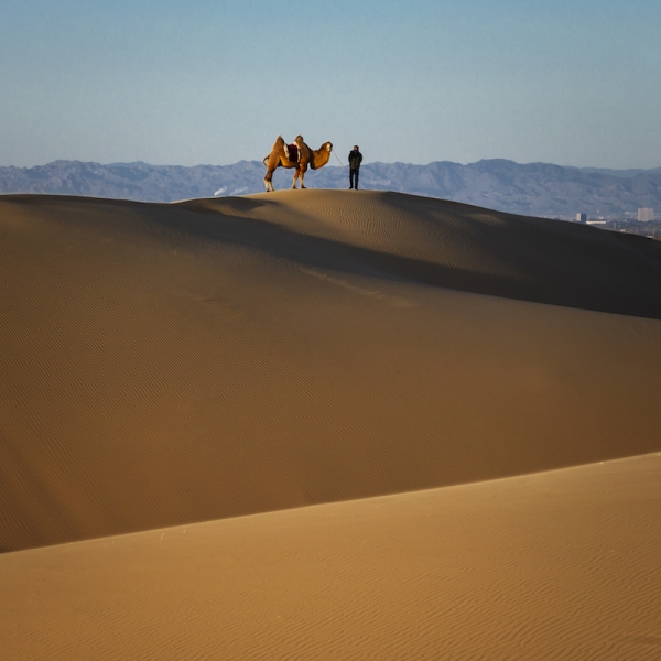 响沙湾,沙漠,度假地,景区,旅游,图片,照片,摄影,内蒙古响沙湾,内蒙古旅游,鄂尔多斯市旅游,莲花酒店,莲花度假酒店,莲沙度假岛,福沙度假岛,悦沙休闲岛,仙沙休闲岛,一粒沙度假村,在线预订,预定,旅行社,AAAAA,5A级旅游景区,库布齐,库布其沙漠,库布其旅游