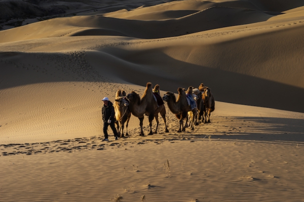 响沙湾,沙漠,度假地,景区,旅游,图片,照片,摄影,内蒙古响沙湾,内蒙古旅游,鄂尔多斯市旅游,莲花酒店,莲花度假酒店,莲沙度假岛,福沙度假岛,悦沙休闲岛,仙沙休闲岛,一粒沙度假村,在线预订,预定,旅行社,AAAAA,5A级旅游景区,库布齐,库布其沙漠,库布其旅游