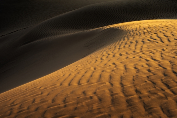 响沙湾,沙漠,度假地,景区,旅游,图片,照片,摄影,内蒙古响沙湾,内蒙古旅游,鄂尔多斯市旅游,莲花酒店,莲花度假酒店,莲沙度假岛,福沙度假岛,悦沙休闲岛,仙沙休闲岛,一粒沙度假村,在线预订,预定,旅行社,AAAAA,5A级旅游景区,库布齐,库布其沙漠,库布其旅游