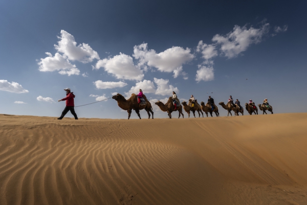响沙湾,沙漠,度假地,景区,旅游,图片,照片,摄影,内蒙古响沙湾,内蒙古旅游,鄂尔多斯市旅游,莲花酒店,莲花度假酒店,莲沙度假岛,福沙度假岛,悦沙休闲岛,仙沙休闲岛,一粒沙度假村,在线预订,预定,旅行社,AAAAA,5A级旅游景区,库布齐,库布其沙漠,库布其旅游