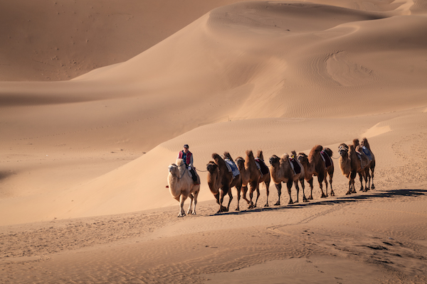 响沙湾,沙漠,度假地,景区,旅游,图片,照片,摄影,内蒙古响沙湾,内蒙古旅游,鄂尔多斯市旅游,莲花酒店,莲花度假酒店,莲沙度假岛,福沙度假岛,悦沙休闲岛,仙沙休闲岛,一粒沙度假村,在线预订,预定,旅行社,AAAAA,5A级旅游景区,库布齐,库布其沙漠,库布其旅游