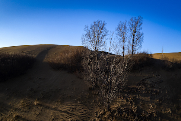 响沙湾,沙漠,度假地,景区,旅游,图片,照片,摄影,内蒙古响沙湾,内蒙古旅游,鄂尔多斯市旅游,莲花酒店,莲花度假酒店,莲沙度假岛,福沙度假岛,悦沙休闲岛,仙沙休闲岛,一粒沙度假村,在线预订,预定,旅行社,AAAAA,5A级旅游景区,库布齐,库布其沙漠,库布其旅游