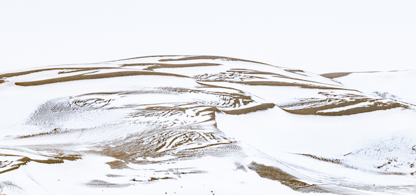 响沙湾,沙漠,度假地,景区,旅游,图片,照片,摄影,内蒙古响沙湾,内蒙古旅游,鄂尔多斯市旅游,莲花酒店,莲花度假酒店,莲沙度假岛,福沙度假岛,悦沙休闲岛,仙沙休闲岛,一粒沙度假村,在线预订,预定,旅行社,AAAAA,5A级旅游景区,库布齐,库布其沙漠,库布其旅游