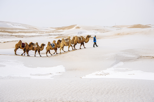 响沙湾,沙漠,度假地,景区,旅游,图片,照片,摄影,内蒙古响沙湾,内蒙古旅游,鄂尔多斯市旅游,莲花酒店,莲花度假酒店,莲沙度假岛,福沙度假岛,悦沙休闲岛,仙沙休闲岛,一粒沙度假村,在线预订,预定,旅行社,AAAAA,5A级旅游景区,库布齐,库布其沙漠,库布其旅游