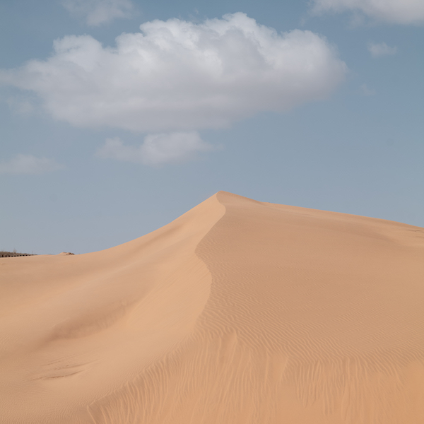 响沙湾,沙漠,度假地,景区,旅游,图片,照片,摄影,内蒙古响沙湾,内蒙古旅游,鄂尔多斯市旅游,莲花酒店,莲花度假酒店,莲沙度假岛,福沙度假岛,悦沙休闲岛,仙沙休闲岛,一粒沙度假村,在线预订,预定,旅行社,AAAAA,5A级旅游景区,库布齐,库布其沙漠,库布其旅游