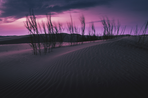 响沙湾,沙漠,度假地,景区,旅游,图片,照片,摄影,内蒙古响沙湾,内蒙古旅游,鄂尔多斯市旅游,莲花酒店,莲花度假酒店,莲沙度假岛,福沙度假岛,悦沙休闲岛,仙沙休闲岛,一粒沙度假村,在线预订,预定,旅行社,AAAAA,5A级旅游景区,库布齐,库布其沙漠,库布其旅游