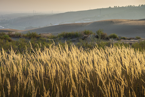 响沙湾,沙漠,度假地,景区,旅游,图片,照片,摄影,内蒙古响沙湾,内蒙古旅游,鄂尔多斯市旅游,莲花酒店,莲花度假酒店,莲沙度假岛,福沙度假岛,悦沙休闲岛,仙沙休闲岛,一粒沙度假村,在线预订,预定,旅行社,AAAAA,5A级旅游景区,库布齐,库布其沙漠,库布其旅游