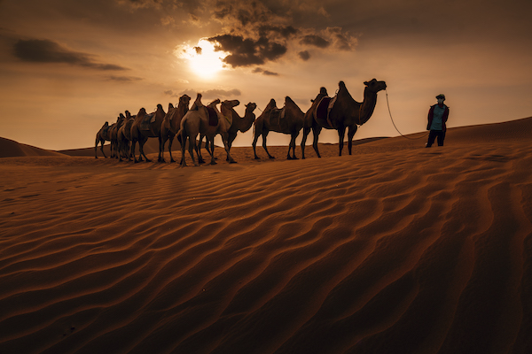 响沙湾,沙漠,度假地,景区,旅游,图片,照片,摄影,内蒙古响沙湾,内蒙古旅游,鄂尔多斯市旅游,莲花酒店,莲花度假酒店,莲沙度假岛,福沙度假岛,悦沙休闲岛,仙沙休闲岛,一粒沙度假村,在线预订,预定,旅行社,AAAAA,5A级旅游景区,库布齐,库布其沙漠,库布其旅游