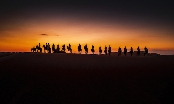 响沙湾,沙漠,度假地,景区,旅游,图片,照片,摄影,内蒙古响沙湾,内蒙古旅游,鄂尔多斯市旅游,莲花酒店,莲花度假酒店,莲沙度假岛,福沙度假岛,悦沙休闲岛,仙沙休闲岛,一粒沙度假村,在线预订,预定,旅行社,AAAAA,5A级旅游景区,库布齐,库布其沙漠,库布其旅游