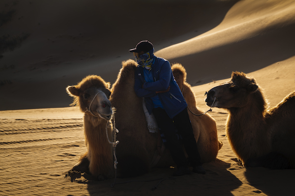 响沙湾,沙漠,度假地,景区,旅游,图片,照片,摄影,内蒙古响沙湾,内蒙古旅游,鄂尔多斯市旅游,莲花酒店,莲花度假酒店,莲沙度假岛,福沙度假岛,悦沙休闲岛,仙沙休闲岛,一粒沙度假村,在线预订,预定,旅行社,AAAAA,5A级旅游景区,库布齐,库布其沙漠,库布其旅游