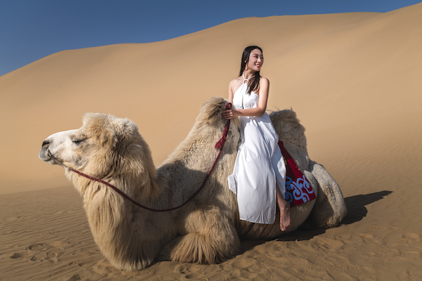 响沙湾,沙漠,度假地,景区,旅游,图片,照片,摄影,内蒙古响沙湾,内蒙古旅游,鄂尔多斯市旅游,莲花酒店,莲花度假酒店,莲沙度假岛,福沙度假岛,悦沙休闲岛,仙沙休闲岛,一粒沙度假村,在线预订,预定,旅行社,AAAAA,5A级旅游景区,库布齐,库布其沙漠,库布其旅游