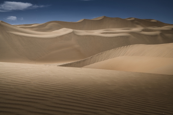 响沙湾,沙漠,度假地,景区,旅游,图片,照片,摄影,内蒙古响沙湾,内蒙古旅游,鄂尔多斯市旅游,莲花酒店,莲花度假酒店,莲沙度假岛,福沙度假岛,悦沙休闲岛,仙沙休闲岛,一粒沙度假村,在线预订,预定,旅行社,AAAAA,5A级旅游景区,库布齐,库布其沙漠,库布其旅游