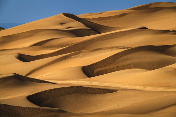 响沙湾,沙漠,度假地,景区,旅游,图片,照片,摄影,内蒙古响沙湾,内蒙古旅游,鄂尔多斯市旅游,莲花酒店,莲花度假酒店,莲沙度假岛,福沙度假岛,悦沙休闲岛,仙沙休闲岛,一粒沙度假村,在线预订,预定,旅行社,AAAAA,5A级旅游景区,库布齐,库布其沙漠,库布其旅游