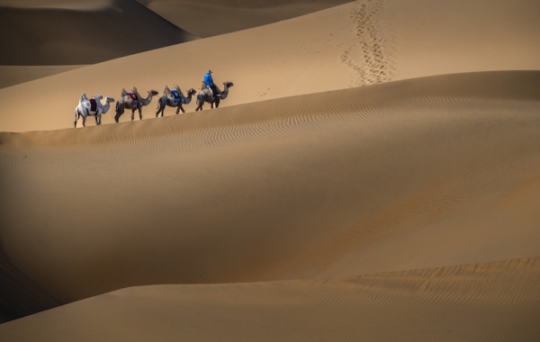 响沙湾,沙漠,度假地,景区,旅游,图片,照片,摄影,内蒙古响沙湾,内蒙古旅游,鄂尔多斯市旅游,莲花酒店,莲花度假酒店,莲沙度假岛,福沙度假岛,悦沙休闲岛,仙沙休闲岛,一粒沙度假村,在线预订,预定,旅行社,AAAAA,5A级旅游景区,库布齐,库布其沙漠,库布其旅游