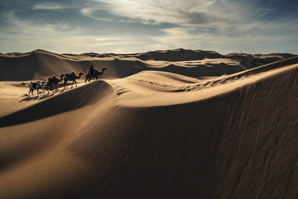 响沙湾,沙漠,度假地,景区,旅游,图片,照片,摄影,内蒙古响沙湾,内蒙古旅游,鄂尔多斯市旅游,莲花酒店,莲花度假酒店,莲沙度假岛,福沙度假岛,悦沙休闲岛,仙沙休闲岛,一粒沙度假村,在线预订,预定,旅行社,AAAAA,5A级旅游景区,库布齐,库布其沙漠,库布其旅游