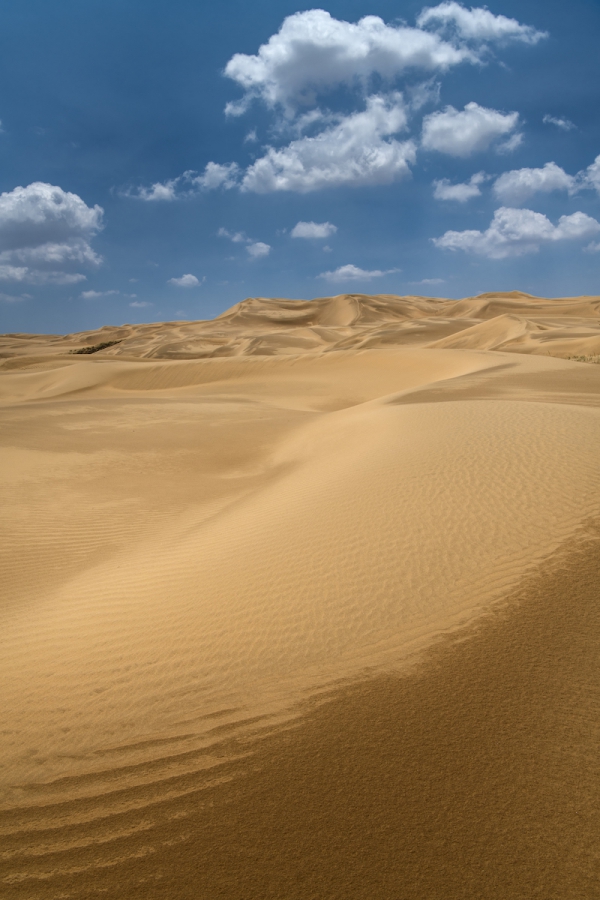 响沙湾,沙漠,度假地,景区,旅游,图片,照片,摄影,内蒙古响沙湾,内蒙古旅游,鄂尔多斯市旅游,莲花酒店,莲花度假酒店,莲沙度假岛,福沙度假岛,悦沙休闲岛,仙沙休闲岛,一粒沙度假村,在线预订,预定,旅行社,AAAAA,5A级旅游景区,库布齐,库布其沙漠,库布其旅游