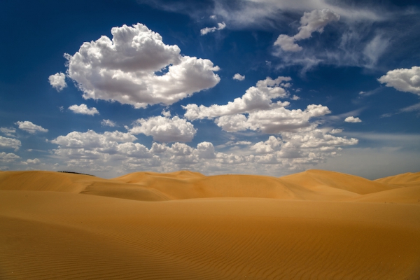 响沙湾,沙漠,度假地,景区,旅游,图片,照片,摄影,内蒙古响沙湾,内蒙古旅游,鄂尔多斯市旅游,莲花酒店,莲花度假酒店,莲沙度假岛,福沙度假岛,悦沙休闲岛,仙沙休闲岛,一粒沙度假村,在线预订,预定,旅行社,AAAAA,5A级旅游景区,库布齐,库布其沙漠,库布其旅游