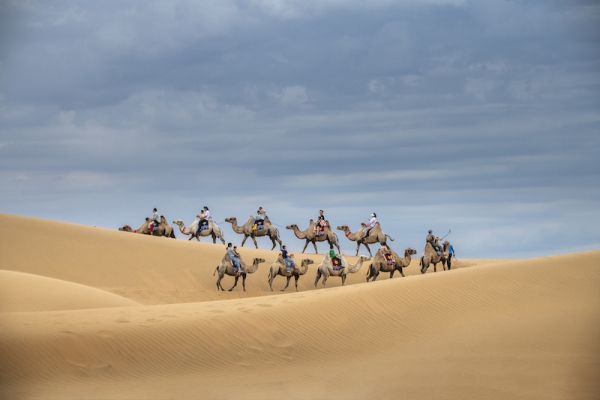 响沙湾,沙漠,度假地,景区,旅游,图片,照片,摄影,内蒙古响沙湾,内蒙古旅游,鄂尔多斯市旅游,莲花酒店,莲花度假酒店,莲沙度假岛,福沙度假岛,悦沙休闲岛,仙沙休闲岛,一粒沙度假村,在线预订,预定,旅行社,AAAAA,5A级旅游景区,库布齐,库布其沙漠,库布其旅游