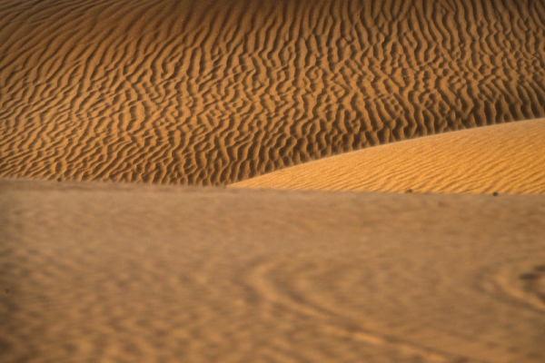 响沙湾,沙漠,度假地,景区,旅游,图片,照片,摄影,内蒙古响沙湾,内蒙古旅游,鄂尔多斯市旅游,莲花酒店,莲花度假酒店,莲沙度假岛,福沙度假岛,悦沙休闲岛,仙沙休闲岛,一粒沙度假村,在线预订,预定,旅行社,AAAAA,5A级旅游景区,库布齐,库布其沙漠,库布其旅游