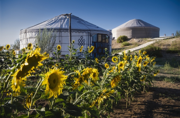 响沙湾,沙漠,度假地,景区,旅游,图片,照片,摄影,内蒙古响沙湾,内蒙古旅游,鄂尔多斯市旅游,莲花酒店,莲花度假酒店,莲沙度假岛,福沙度假岛,悦沙休闲岛,仙沙休闲岛,一粒沙度假村,在线预订,预定,旅行社,AAAAA,5A级旅游景区,库布齐,库布其沙漠,库布其旅游