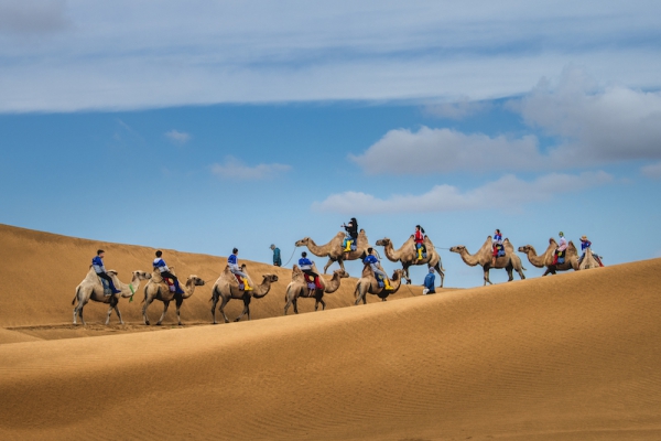 响沙湾,沙漠,度假地,景区,旅游,图片,照片,摄影,内蒙古响沙湾,内蒙古旅游,鄂尔多斯市旅游,莲花酒店,莲花度假酒店,莲沙度假岛,福沙度假岛,悦沙休闲岛,仙沙休闲岛,一粒沙度假村,在线预订,预定,旅行社,AAAAA,5A级旅游景区,库布齐,库布其沙漠,库布其旅游