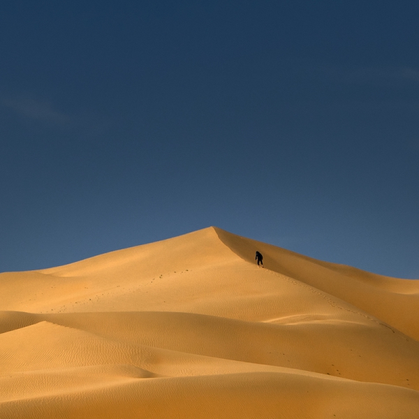 响沙湾,沙漠,度假地,景区,旅游,图片,照片,摄影,内蒙古响沙湾,内蒙古旅游,鄂尔多斯市旅游,莲花酒店,莲花度假酒店,莲沙度假岛,福沙度假岛,悦沙休闲岛,仙沙休闲岛,一粒沙度假村,在线预订,预定,旅行社,AAAAA,5A级旅游景区,库布齐,库布其沙漠,库布其旅游