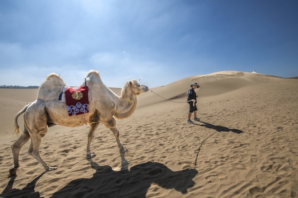 响沙湾,沙漠,度假地,景区,旅游,图片,照片,摄影,内蒙古响沙湾,内蒙古旅游,鄂尔多斯市旅游,莲花酒店,莲花度假酒店,莲沙度假岛,福沙度假岛,悦沙休闲岛,仙沙休闲岛,一粒沙度假村,在线预订,预定,旅行社,AAAAA,5A级旅游景区,库布齐,库布其沙漠,库布其旅游