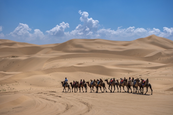 响沙湾,沙漠,度假地,景区,旅游,图片,照片,摄影,内蒙古响沙湾,内蒙古旅游,鄂尔多斯市旅游,莲花酒店,莲花度假酒店,莲沙度假岛,福沙度假岛,悦沙休闲岛,仙沙休闲岛,一粒沙度假村,在线预订,预定,旅行社,AAAAA,5A级旅游景区,库布齐,库布其沙漠,库布其旅游