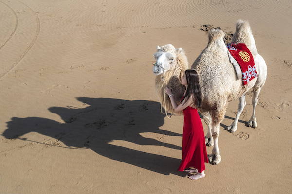 响沙湾,沙漠,度假地,景区,旅游,图片,照片,摄影,内蒙古响沙湾,内蒙古旅游,鄂尔多斯市旅游,莲花酒店,莲花度假酒店,莲沙度假岛,福沙度假岛,悦沙休闲岛,仙沙休闲岛,一粒沙度假村,在线预订,预定,旅行社,AAAAA,5A级旅游景区,库布齐,库布其沙漠,库布其旅游